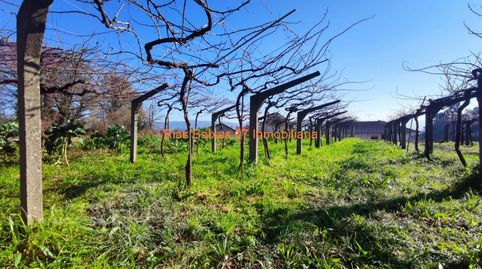 REF 2119 SOLAR 883 m2 LLANO ,ALTO Y SOLEADO CERCANO CONCELLO MOS, immagine 3