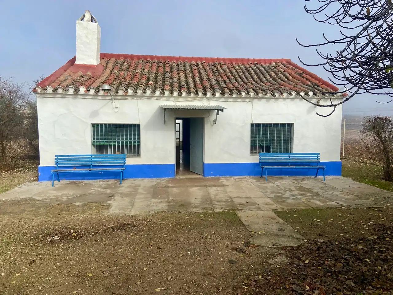 Vista exterior de Casa o chalet en venta en Ciudad Real con Jardín privado, Piscina y Amueblado