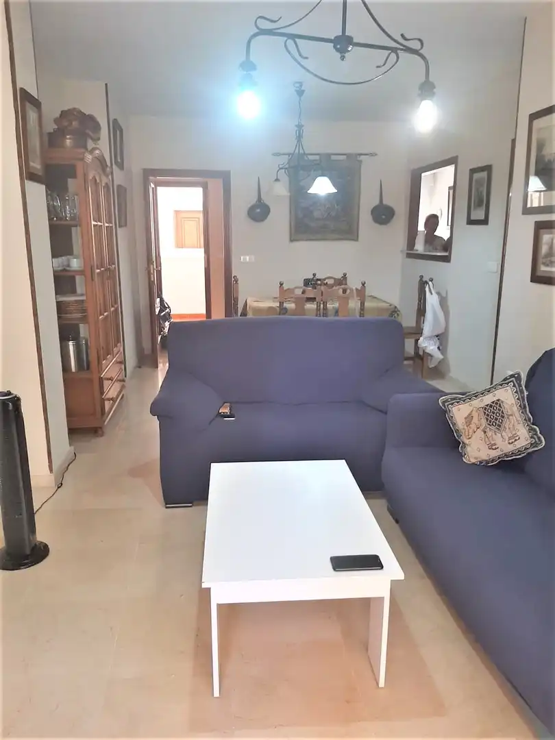 Apartments for rent in Centro