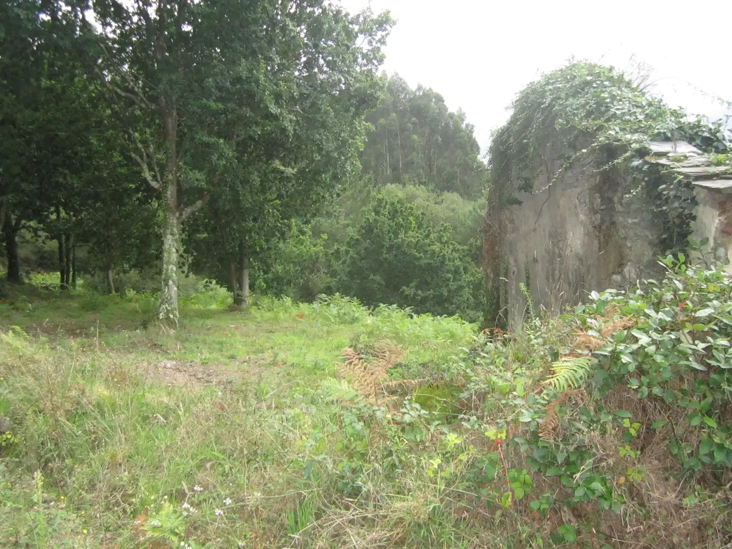 Casa o chalet en venta en Neda