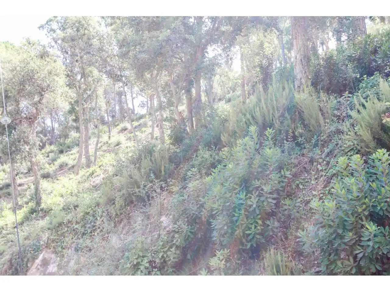 Terreno rústico en venta en Avenida Illes 12, imagen 12