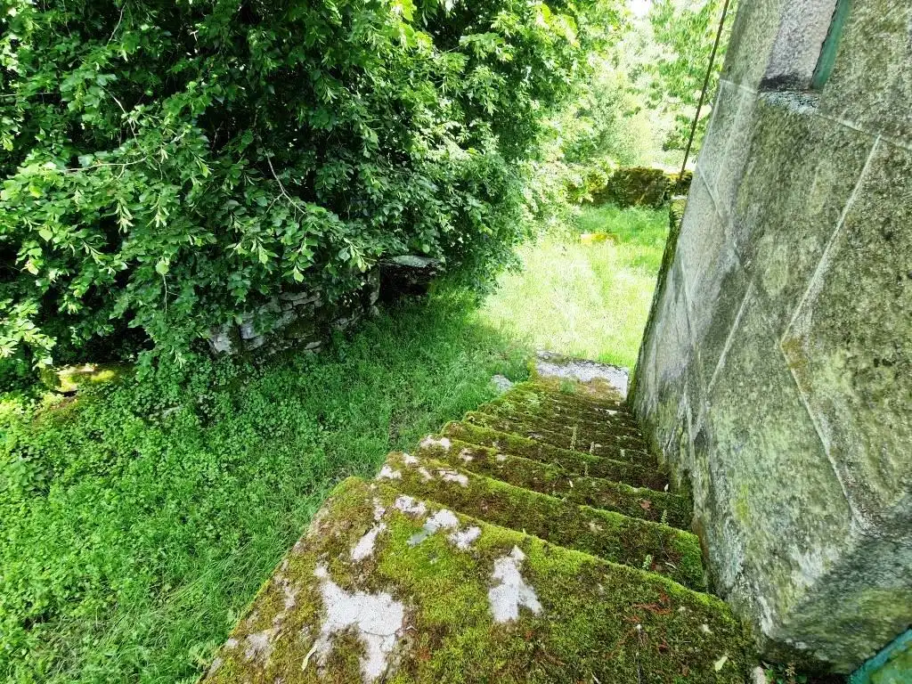 Jardí de Finca rústica en venda en Piñor amb Jardí privat i Balcó