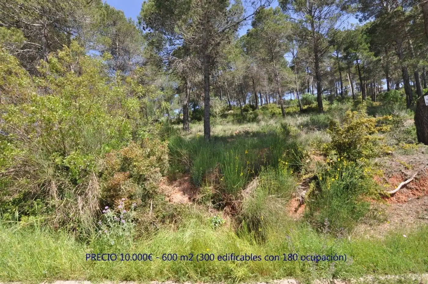 Terreny residencial en venda a Mediona, imagen 3