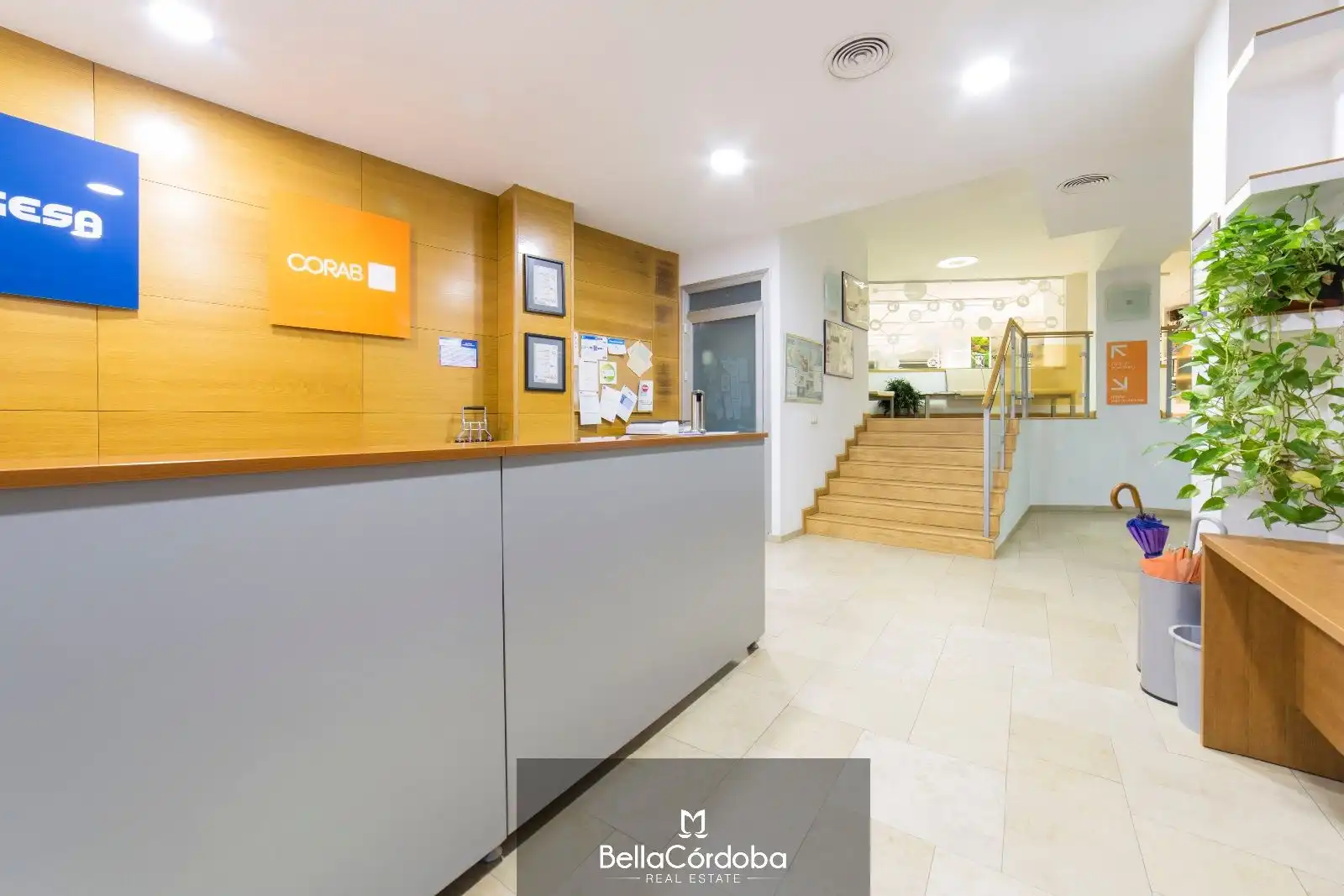 Local comercial de lloguer a Centro, imagen 10