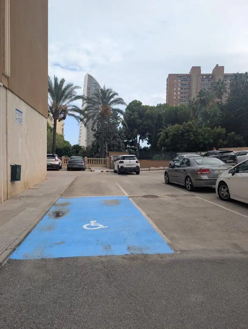 Appartement avec ascenseur à louer à MARINA BAIXA, imagen 39