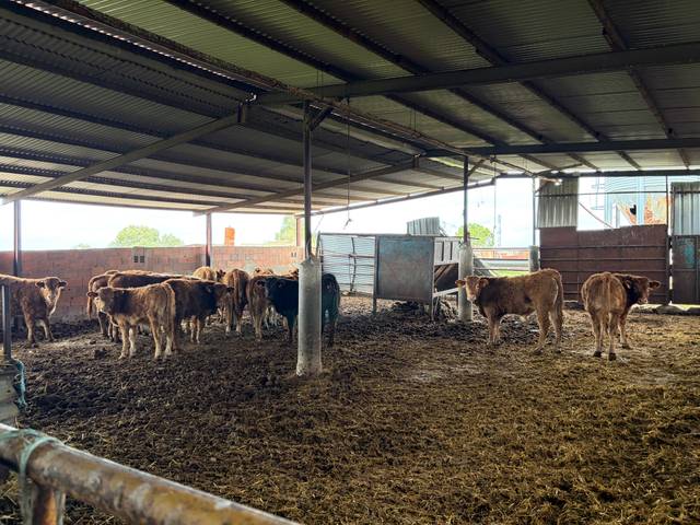 Terreno en Venta en Carretera a Galisteo en Alagón del Río