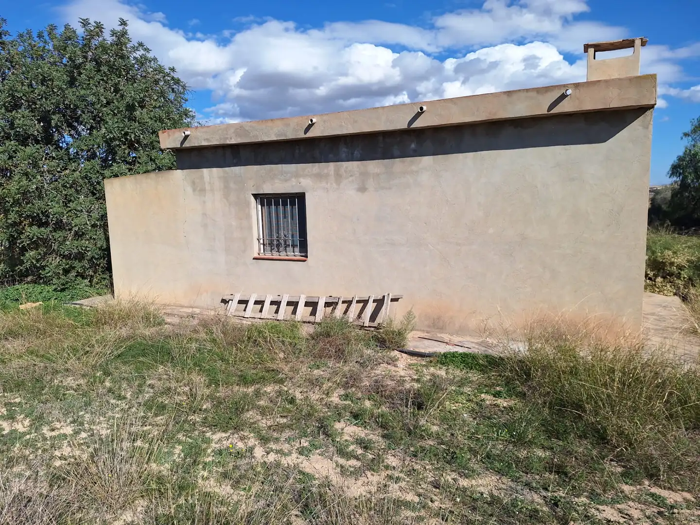 Vista exterior de Finca rústica en venta en Alicante / Alacant con Trastero