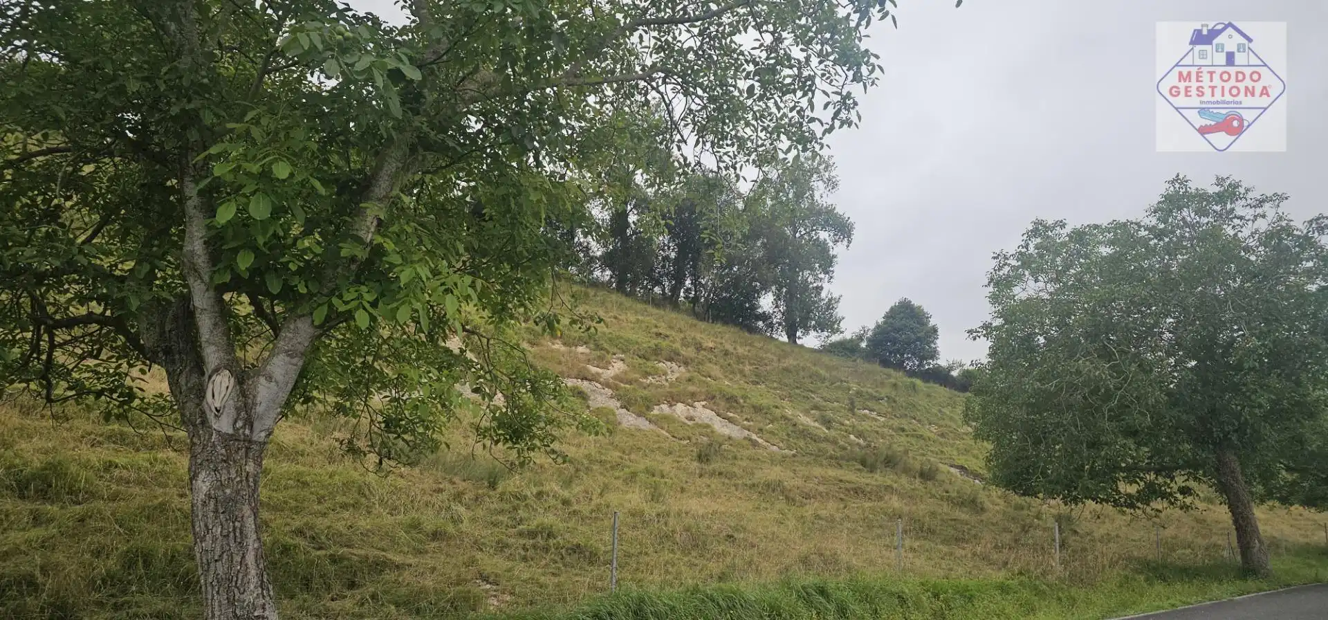 Terreni e lotti in vendita a Val de San Vicente, imagen 26