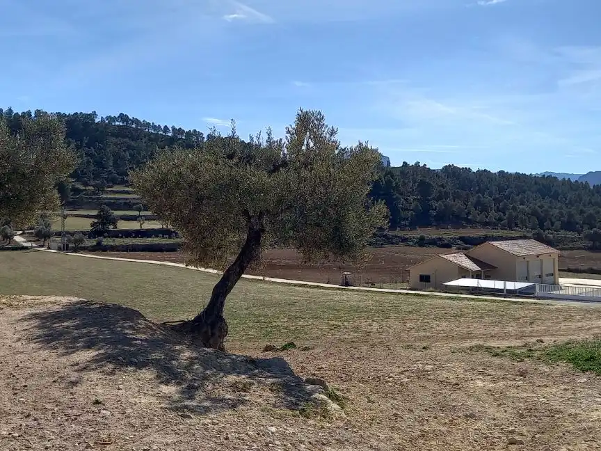 Rural land for sale in Carrer de Freginals 0, imagen 6