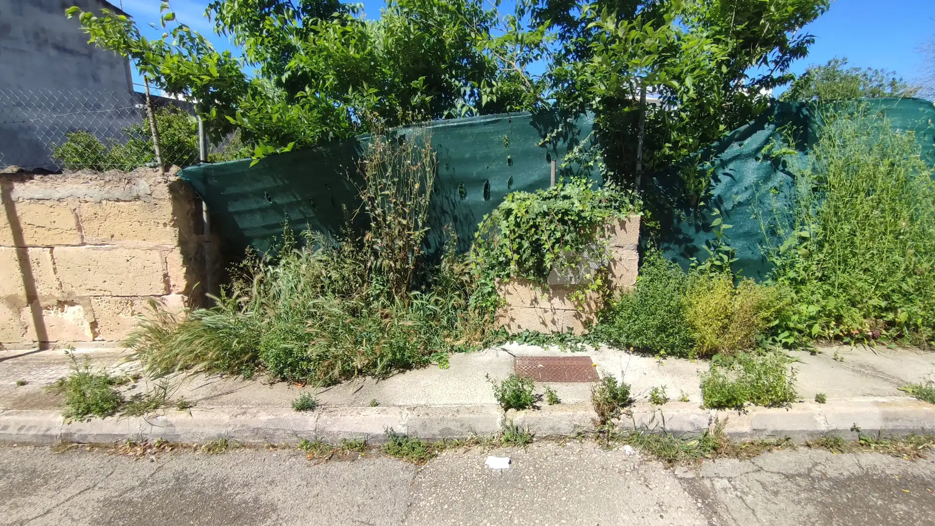 Residential land for sale in Avinguda de ses Escoles 25, imagen 10