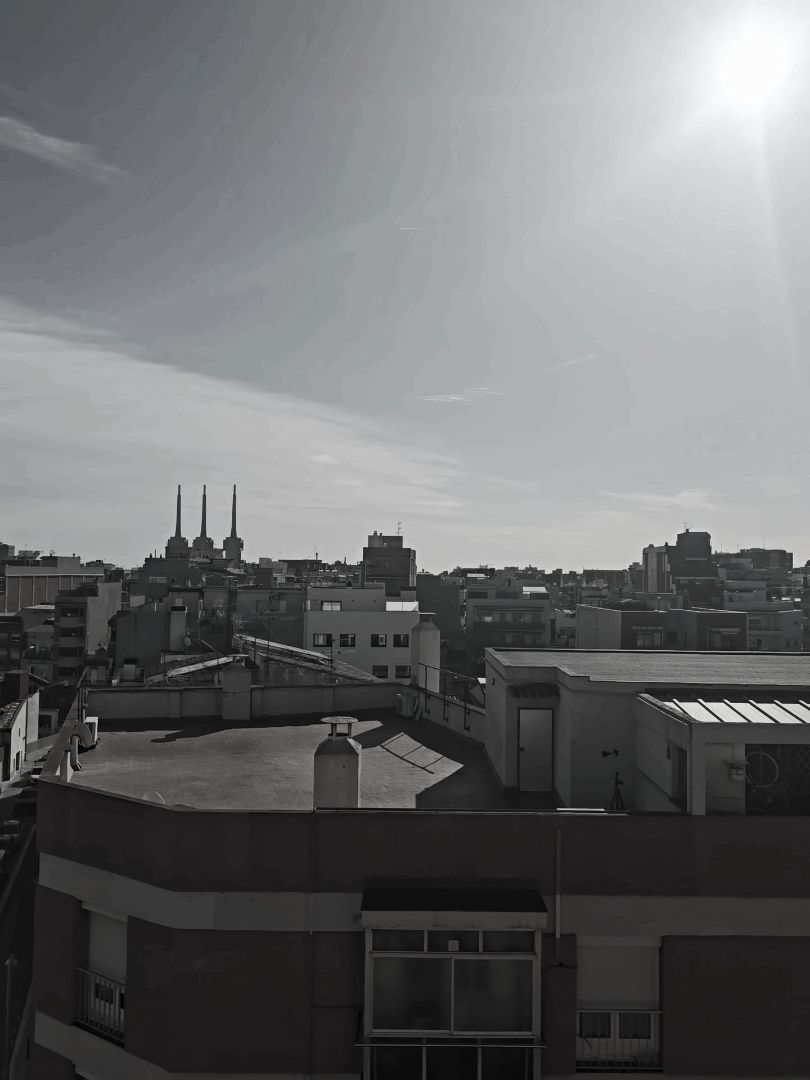 Exterior view of Attic for sale in Sant Adrià de Besòs  with Air Conditioner, Heating and Terrace