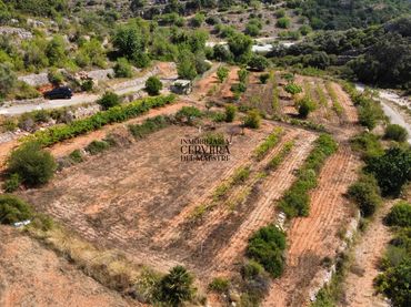 Rural land for sale in Cervera del Maestre