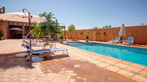 Foto 3 de Casa o chalet de alquiler en Padul, Granada