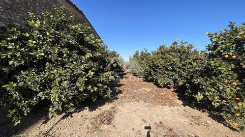 Foto 5 de Finca rústica en venda a Guadassuar, Valencia