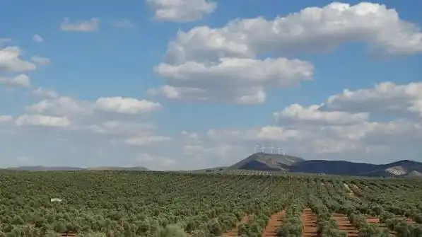 Terreno rustico in vendita a Villanueva de la Concepción, imagen 5