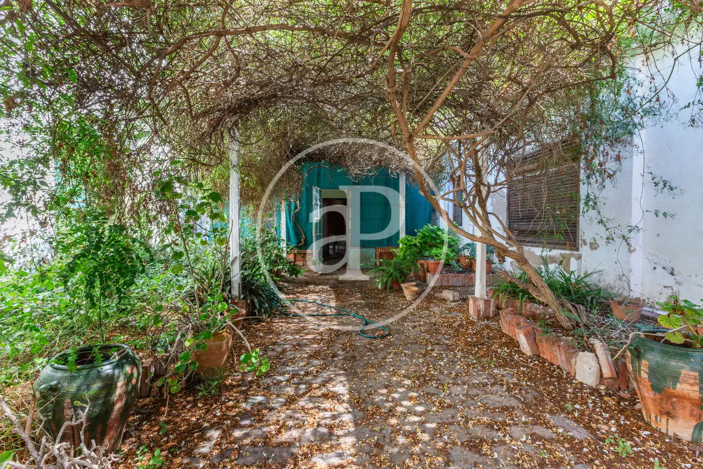 Detached homes for sale in Sollana