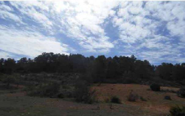 Terreno en Venta en Peña Tuerca, Poligono 29 en Liétor