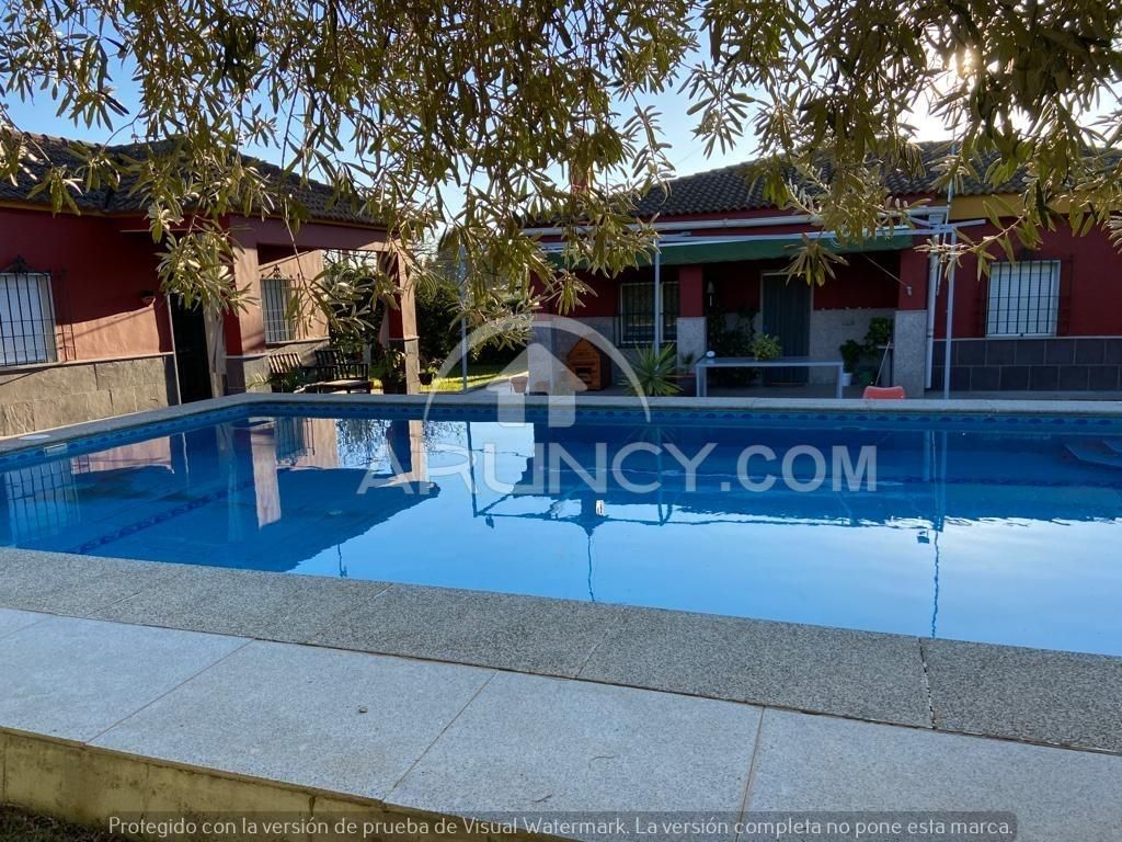 Swimming pool of House or chalet for sale in Alcalá de Guadaira  with Air Conditioner, Heating and Private garden