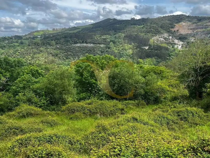 Terreny rústic en venda a Andinas, imagen 11