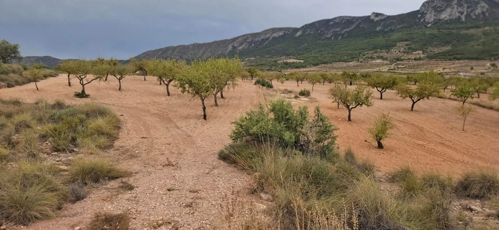 Terrain rustique à vendre à La Romana, imagen 5