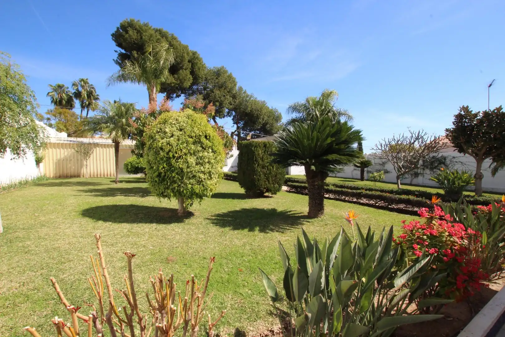 Villa con terrazza in vendita a Puerto Marina, imagen 39