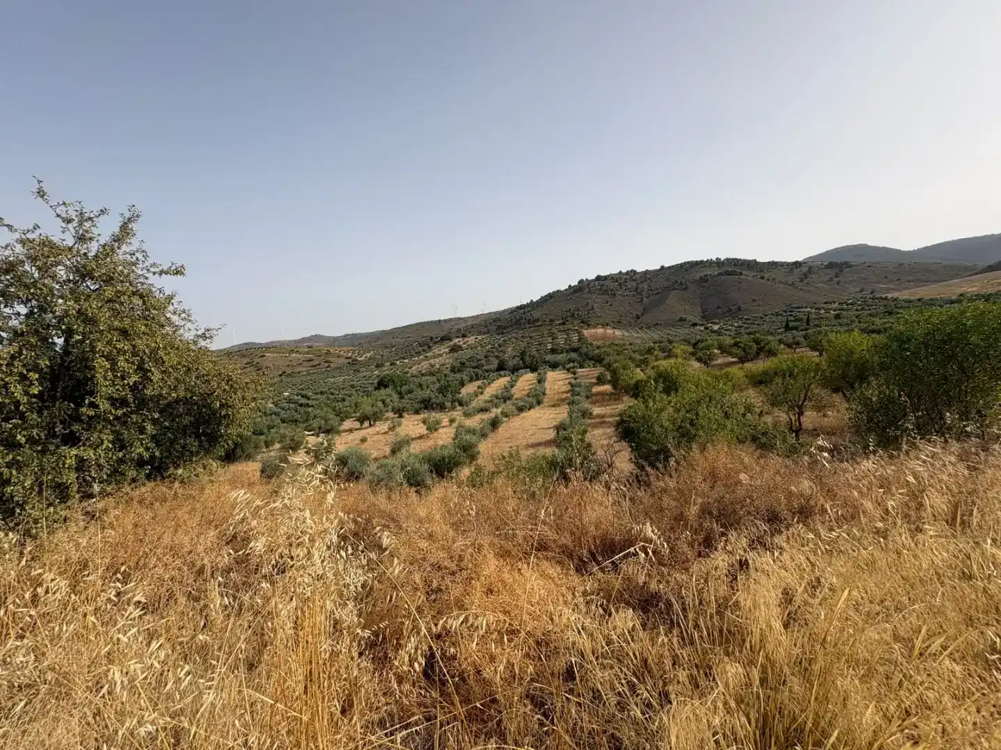 Pis en venda en Padul amb Jardí privat