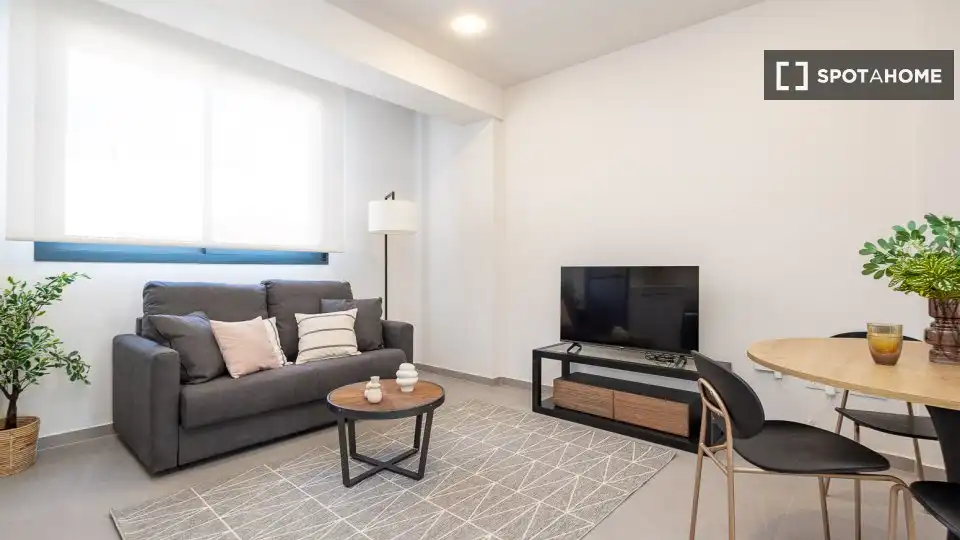 Living room of Flat for rent in Valencia  with Air Conditioner, Heating and Furnished