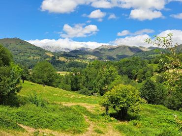 Terreni e lotti in vendita a Cangas de Onís