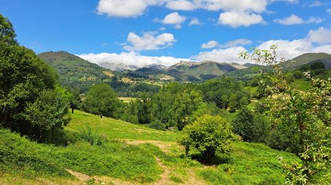 FINCA EDIFICABLE CON VISTAS A 10 MINUTOS DE CANGAS DE ONIS