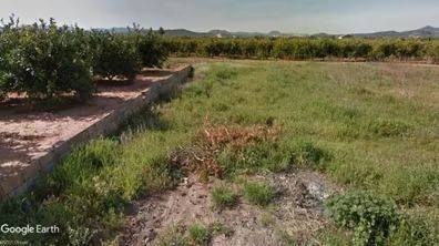 Terreno en Venta en Rafelguaraf