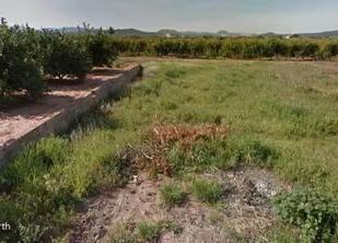 Land for sale in Rafelguaraf