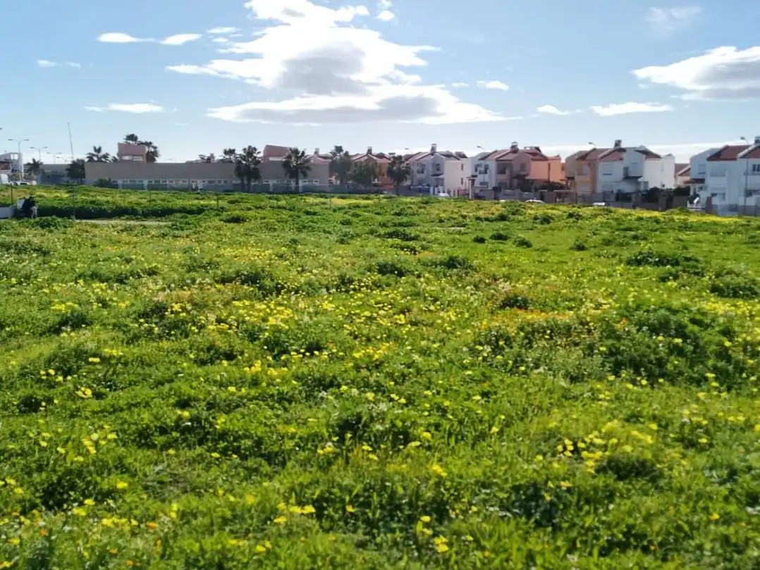 Lands and plots for sale in Calle Esperanza 10, imagen 3