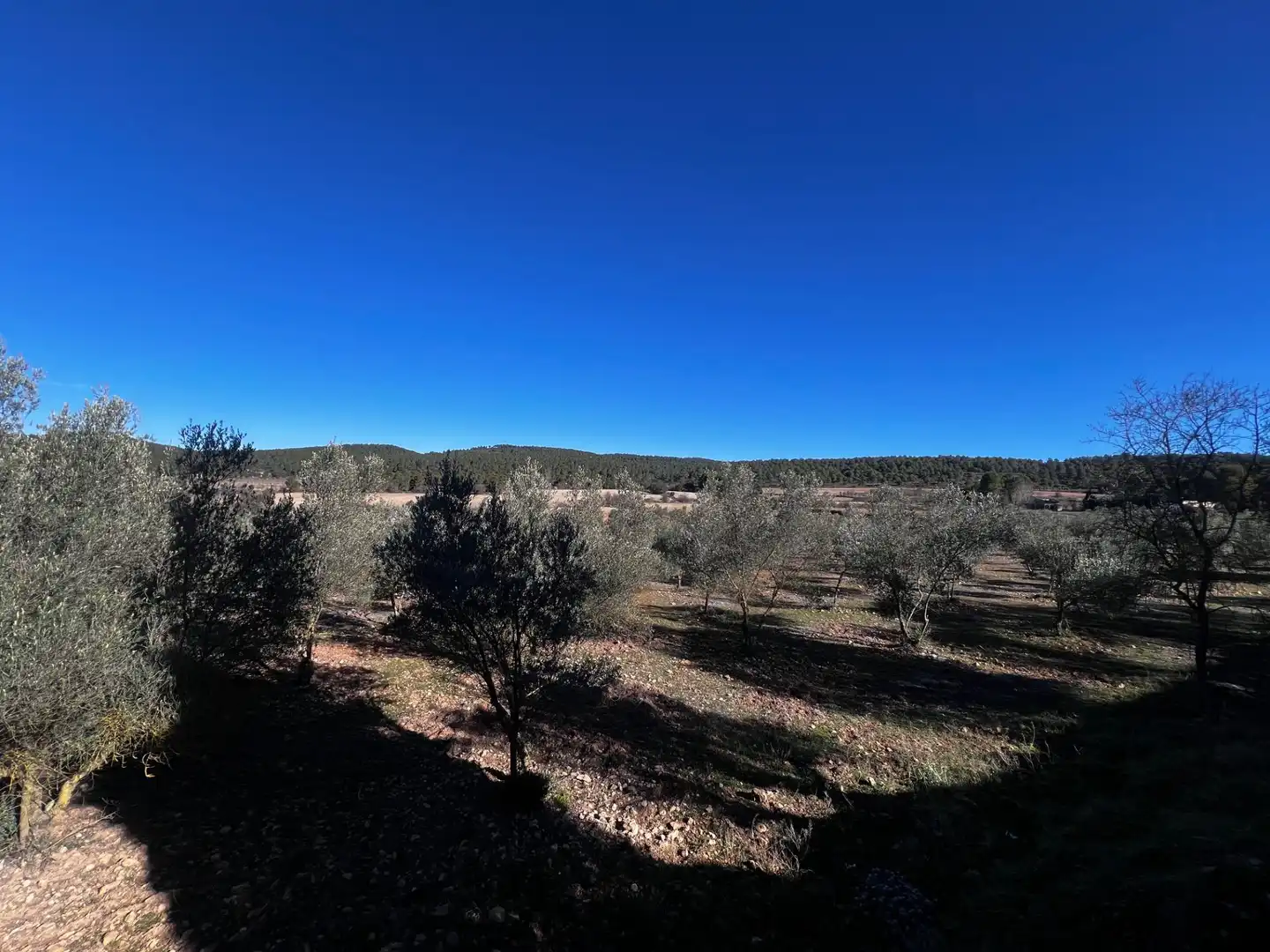 Finca rústica en venta en Bocairent con Jardín privado, Terraza y Trastero