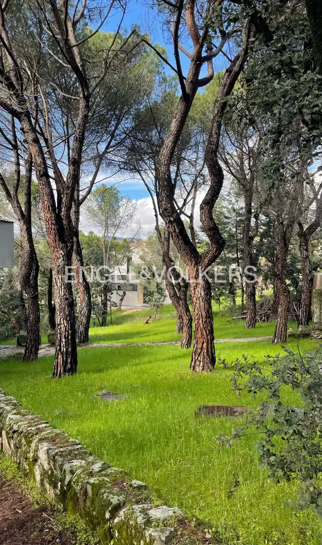 Casa o xalet en venda en Las Rozas de Madrid amb Calefacció, Jardí privat i Piscina