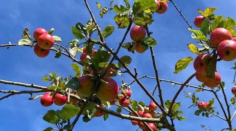 Foto 5 de Terreno en venta en Lugar Tuero, 31, Tazones - Argüero, Villaviciosa