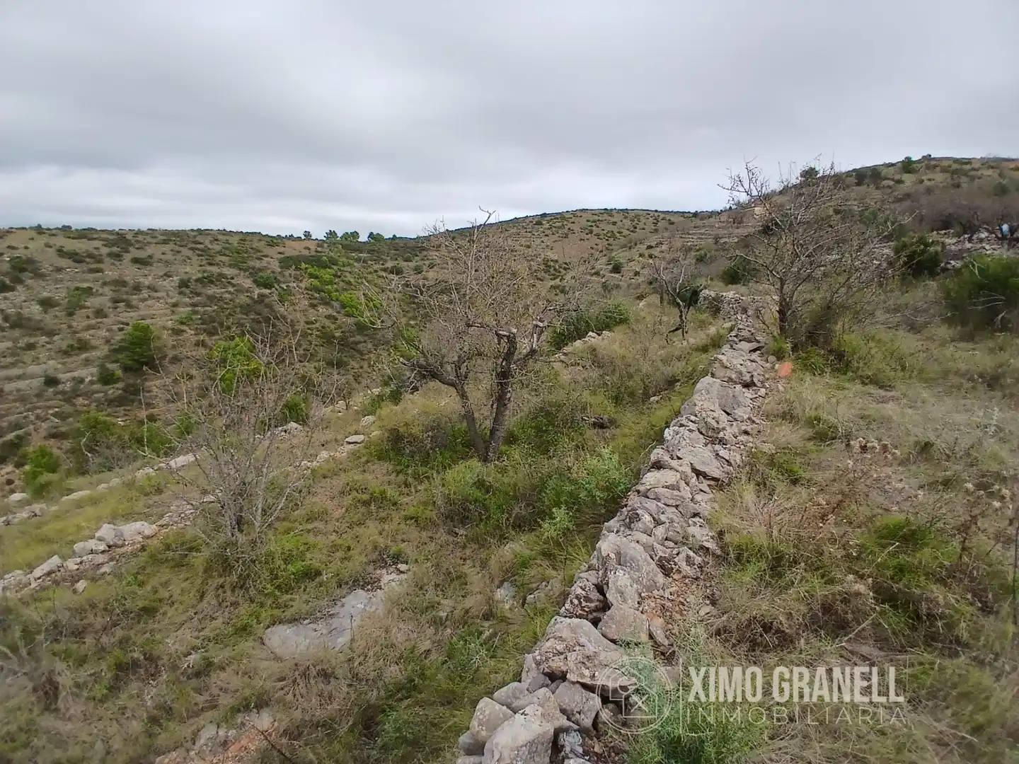 Terreny rústic en venda a La Vall d'Uixó, imagen 4