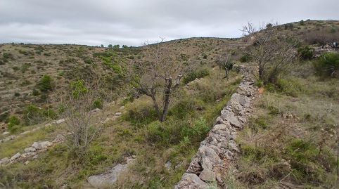 PARCELA RUSTICA DE 16.157m EN LA PARTIDA PEÑALBA DE LA VALL DUIXÓ, immagine 4