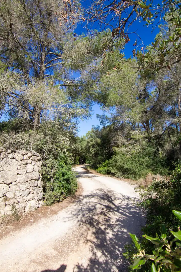 Casa rústica en venda a Porreres a Sant Joan, imagen 41