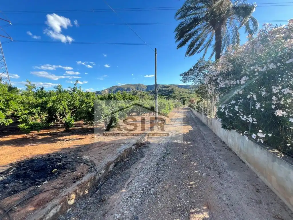 Vista exterior de Terreno en venta en Alzira