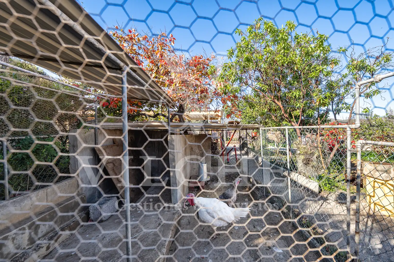 Vista exterior de Casa o xalet en venda en Santa Brígida amb Jardí privat, Terrassa i Traster