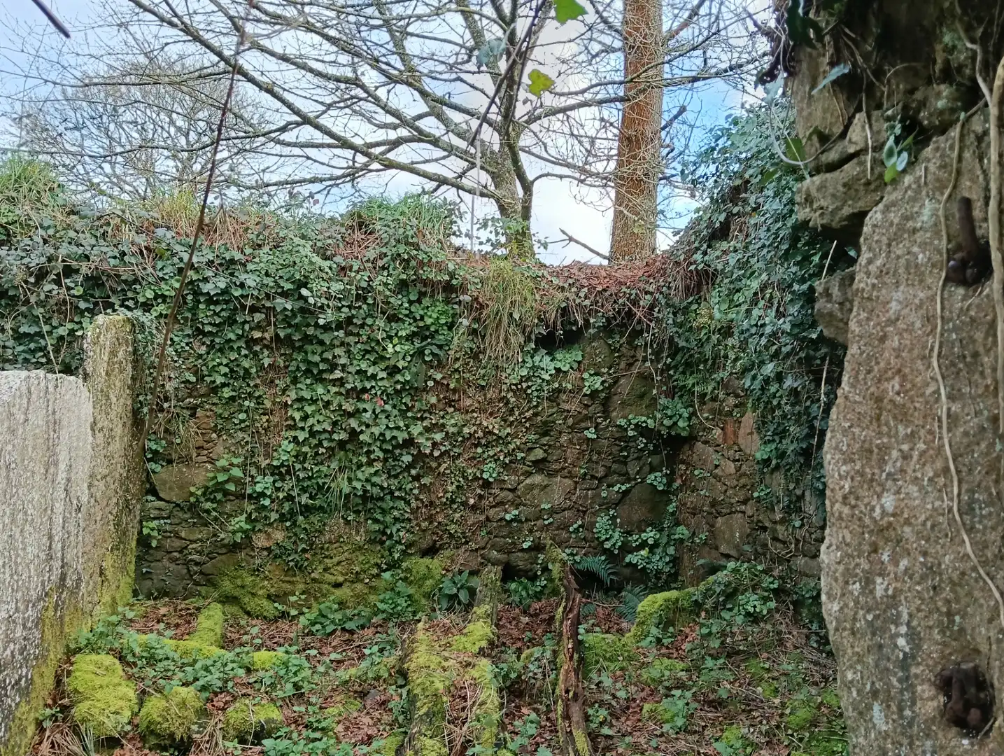 Adossat amb jardí en venda a Avenida Principal, imagen 13