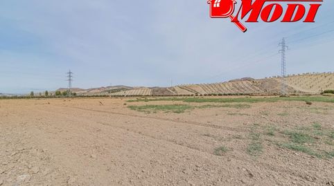 Se vende esta bonita haza de tierra de secano en termino de la Malaha, camino hacia Otura. Son dos fanegas de tierra  9.395 m  don, imatge 3