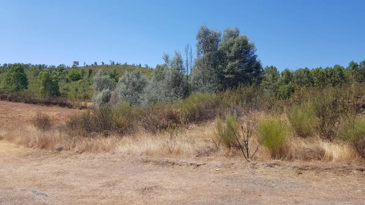 Finca rústica en venta en La Codosera