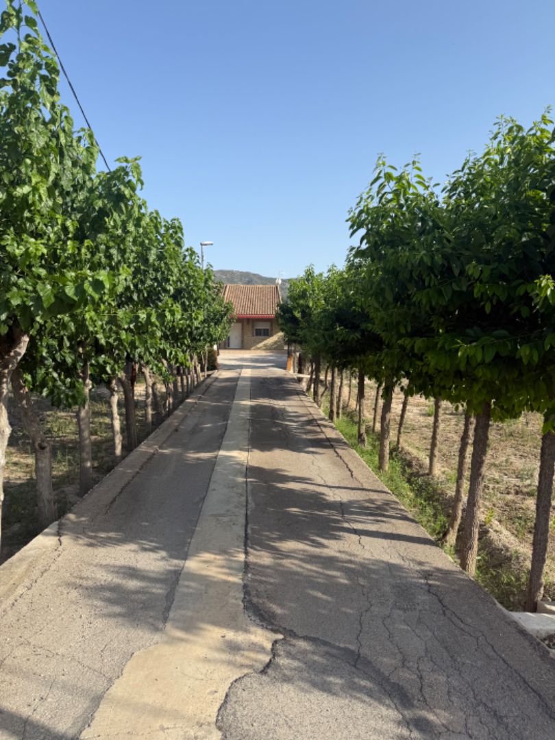Vista exterior de Casa o xalet en venda en  Murcia Capital amb Aire condicionat, Calefacció i Jardí privat