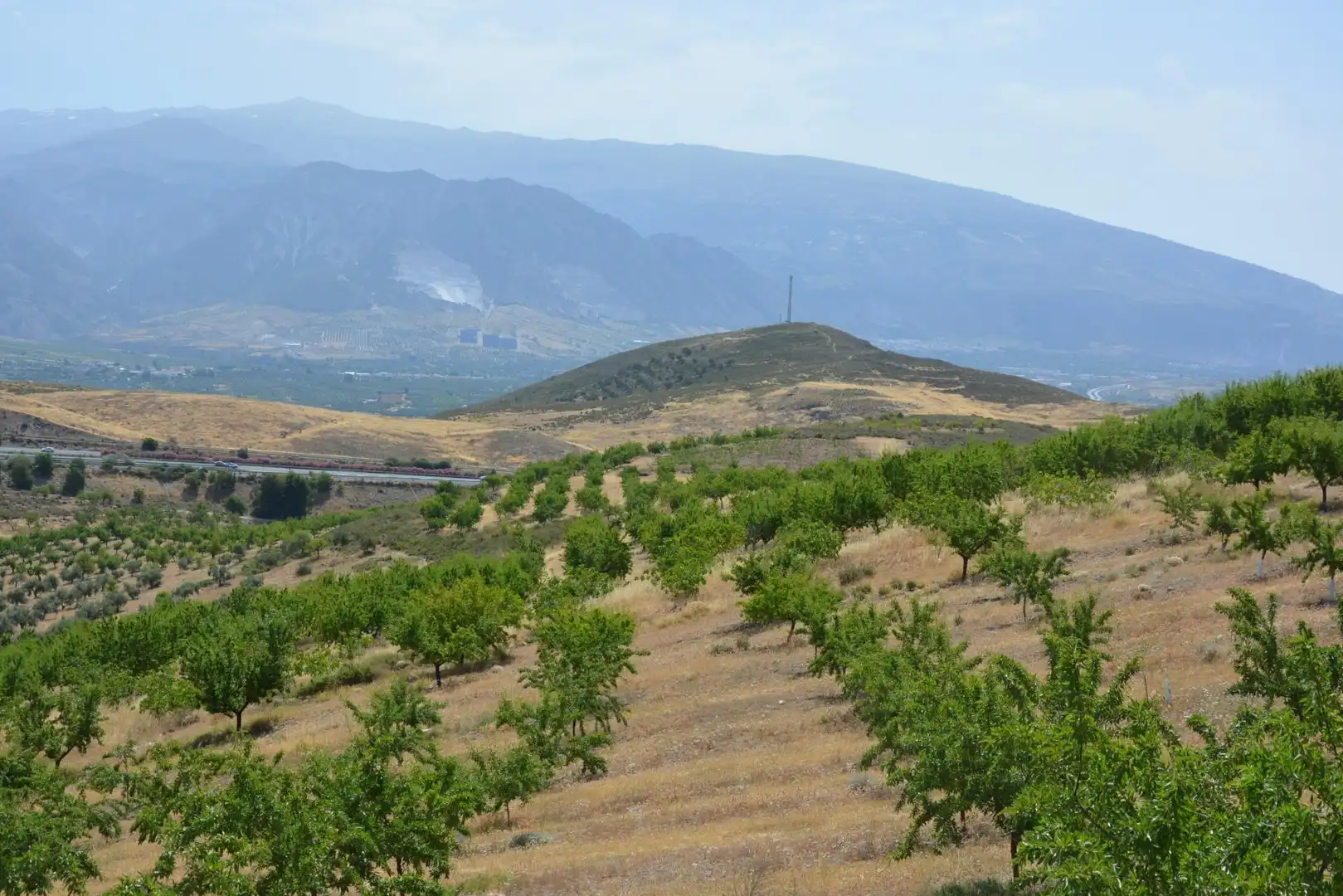 Exterior view of Land for sale in Padul