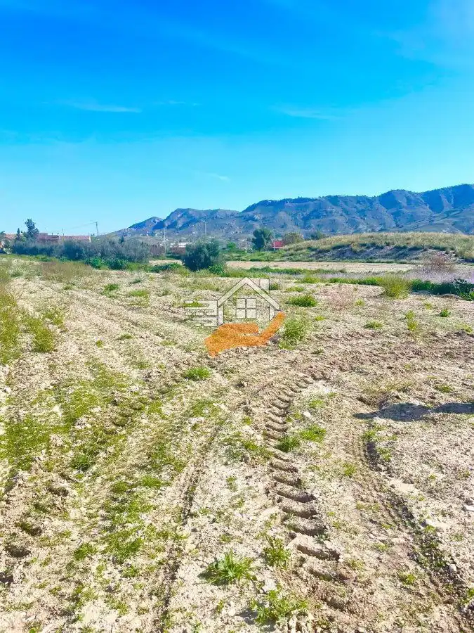 Lands and plots for sale in Pedanías Norte, imagen 31