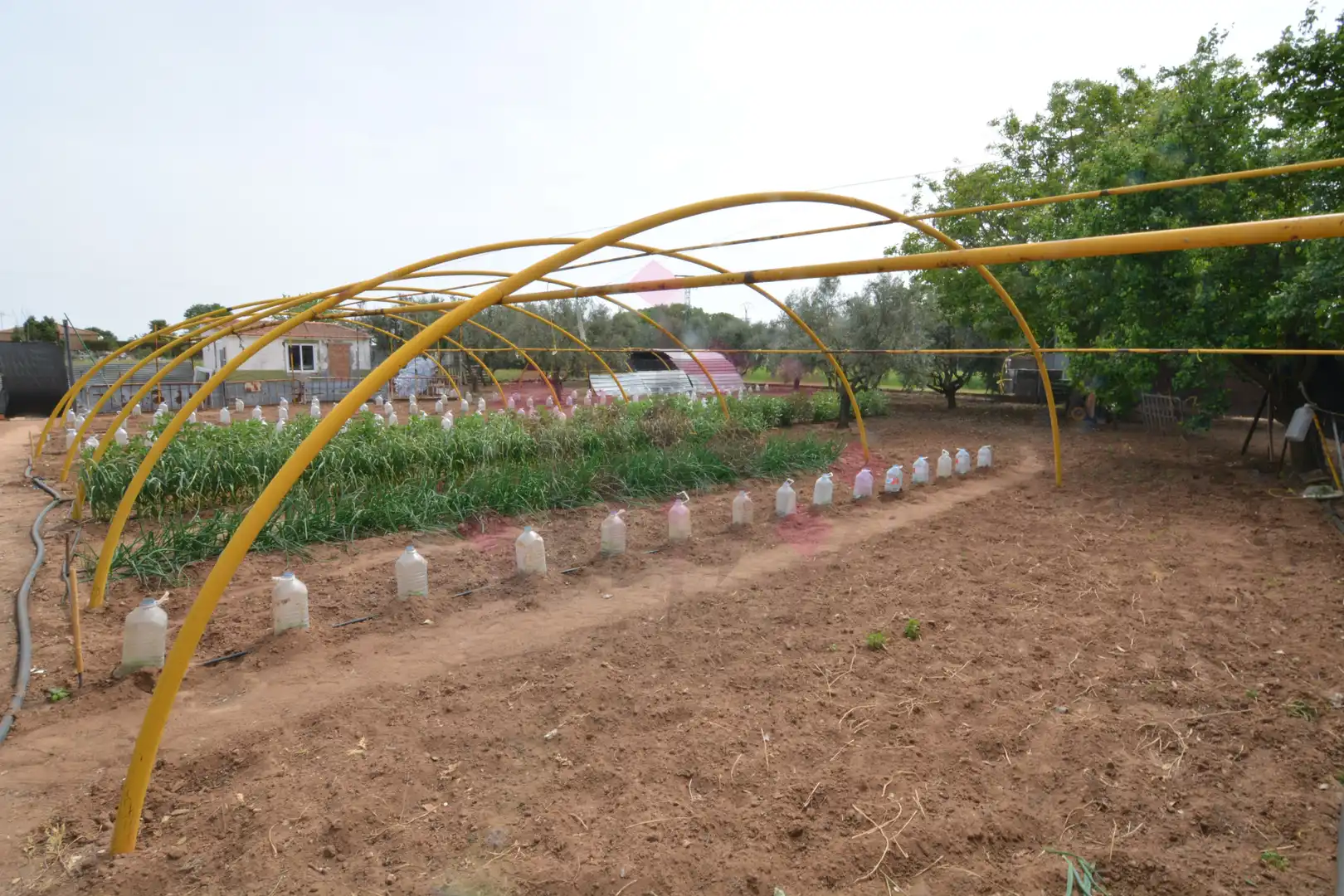 Jardí de Casa o xalet en venda en Ciudad Real amb Aire condicionat, Calefacció i Jardí privat