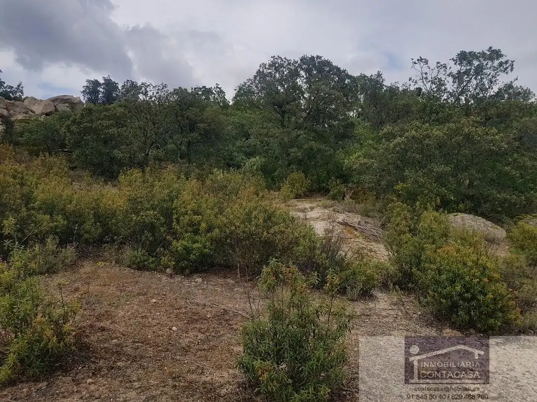 Finca rústica en venta en La Cabrera