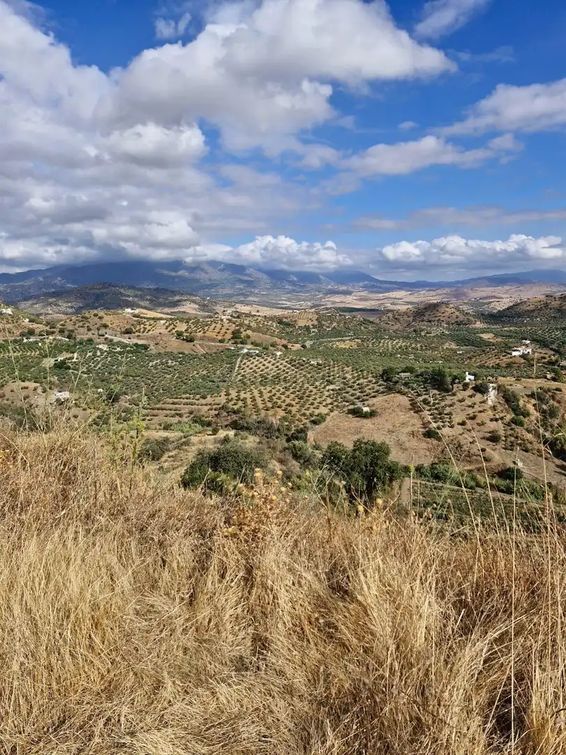 Terreny rústic en venda a 29100 Coín, Málaga, Spain, imagen 9
