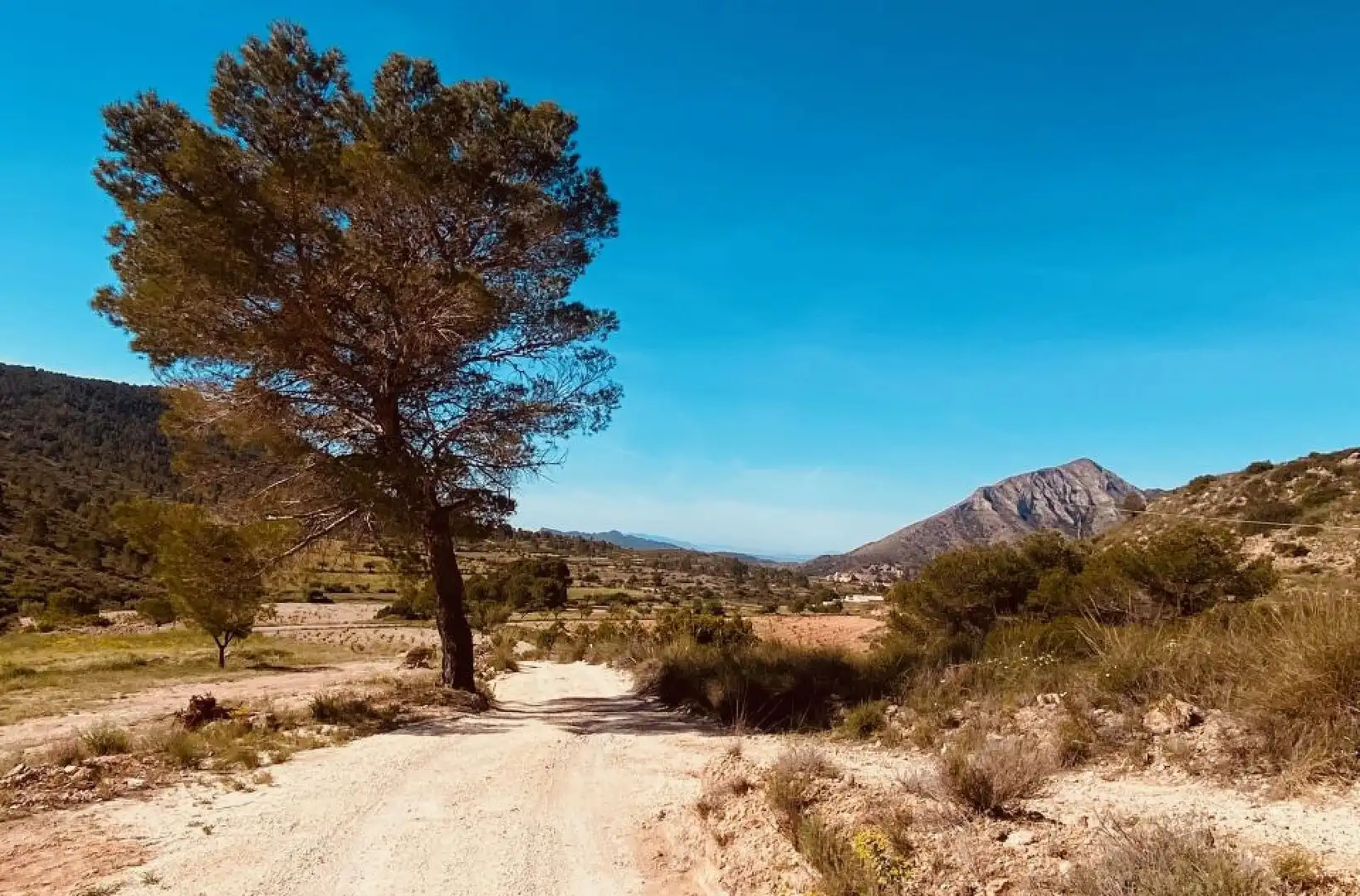 Chalet en venta en Hondón de las Nieves / El Fondó de les Neus, imagen 10